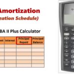 Amortization Schedule Calculator